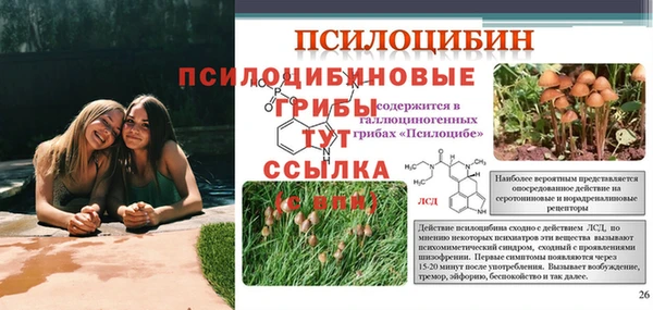 скорость mdpv Магас