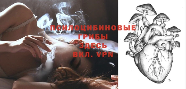 ПСИЛОЦИБИНОВЫЕ ГРИБЫ Магадан