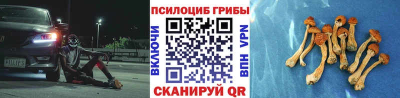 Купить закладки  Ахтырский  Псилоцибиновые грибы прущие грибы 